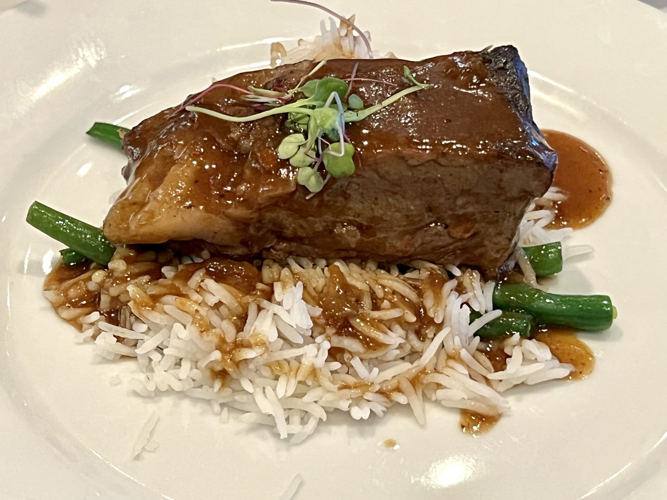 Margaritaville at Sea Paradise review
