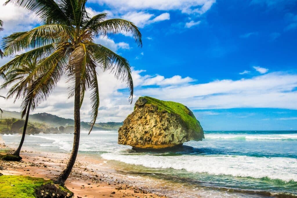 Passport Book vs. Card - Which is Better for a Cruise?