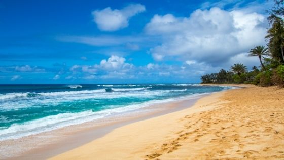 Best Tropical Cruise Vacations