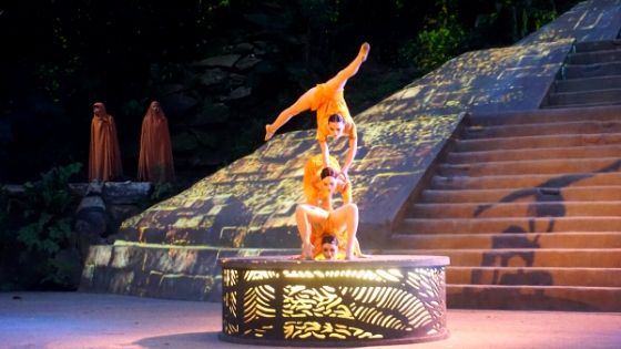 6 Reasons to Book the Rhythms of the Night Shore Excursion
