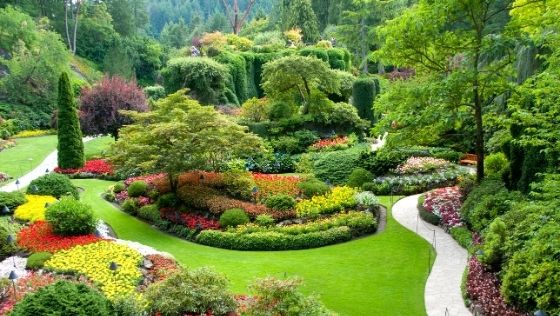 Best Things to Do in Victoria, British Columbia on an Alaska Cruise