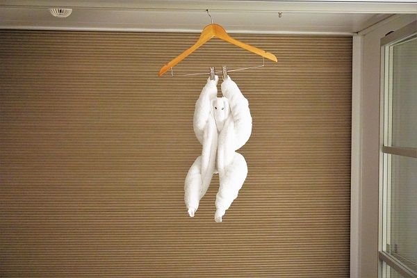 Celebrity Edge Cruise Review