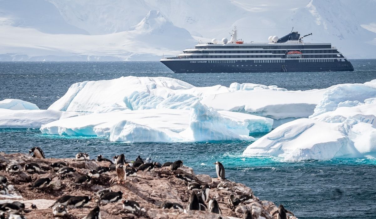 Atlas Ocean Voyages Adds Penguin Program to Antarctica Expeditions